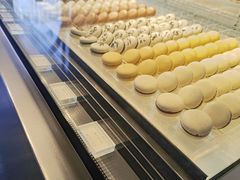 -BLACKSWAN黑天鹅(环球店)