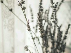 -中影佰纳国际影城DMAX(花都广百广场店)