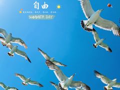 -长岛南北长山旅游景区