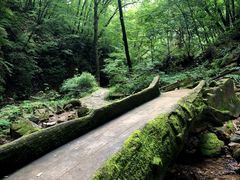 -五女峰国家森林公园