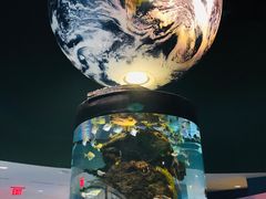 -瑞普利水族馆