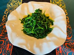 清炒豌豆苗-茉芮·精致四季川菜(三坊七巷店)
