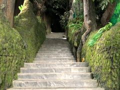 -吉林省自然博物馆