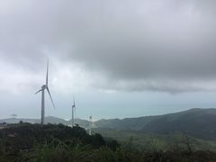 -盐洲岛