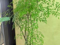 -水云空涧·沐足·采耳·按摩·SPA影院(琶洲店)