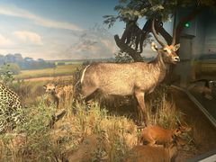 -陕西自然博物馆