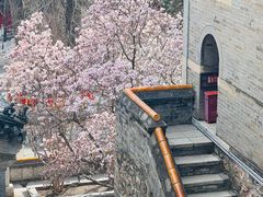 -潭柘寺景区