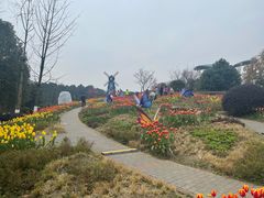 -铁山坪森林公园