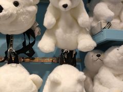 -多彩贵州城极地海洋世界