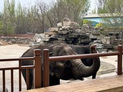 -北京野生动物园