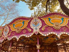 -上海共青森林公园