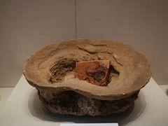 -重庆中国三峡博物馆(重庆博物馆)