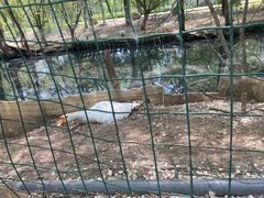 -第五季龙水凤港生态露营农场
