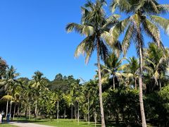 -中国科学院西双版纳热带植物园