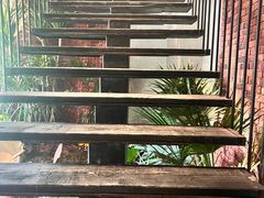 -J Create城市露营咖啡·简餐·宠物(上海动物园店)