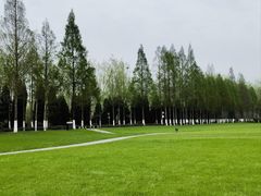 -合肥滨湖国家森林公园