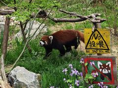 -红山森林动物园
