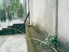 -天河体育中心