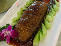 扒烧大乌参-怡园饭店-餐厅(四望亭店)