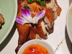 -新白鹿餐厅(金鹰新街口店)