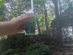 -青城山