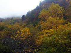 -叠溪松坪沟景区