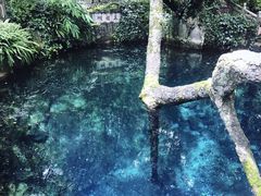 -蝴蝶泉公园