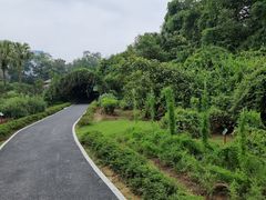 -广西壮族自治区药用植物园
