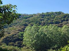 -黄埔油麻山森林公园