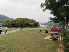-风云岭森林公园