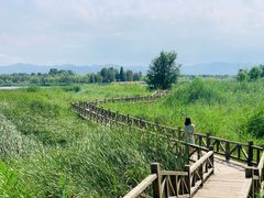 -野鸭湖国家湿地公园