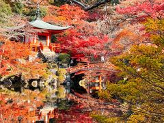 -醍醐寺
