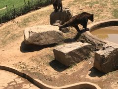 -无锡动物园·太湖欢乐园