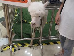 -万达广场(宜兴店)
