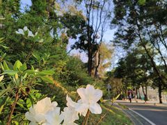 -广州市白云山风景名胜区