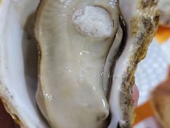 生蚝-蚝专家(北滘店)