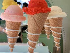 -Mint Gelato(二厂店)