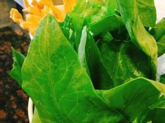 -八合里潮汕鲜牛肉火锅(惠州华贸店)