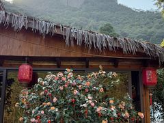 -雁荡山风景名胜区