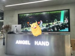 -ANGELHAND