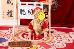 -昆山米奇儿童摄影(柏庐广场店)