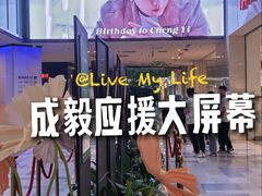 -鹏欣水游城