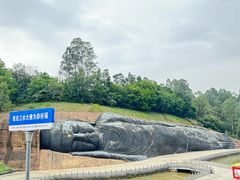 -三水森林公园
