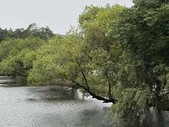 -南北湖风景区