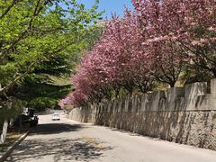 -石岛赤山风景区