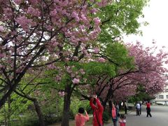 iphone_upload_pic-北海道厅旧本厅舍(旧本庁舎)