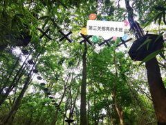 -WeLope紫金山探险公园