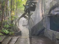 -青青世界