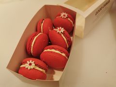 -深圳威尼斯英迪格酒店-邻芙花廊下午茶·NINFA GALLERY·蛋糕·咖啡
