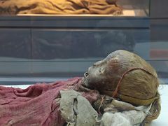 -巴音郭楞蒙古自治州博物馆